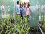 Visit of Shade-net house : Orchid Production